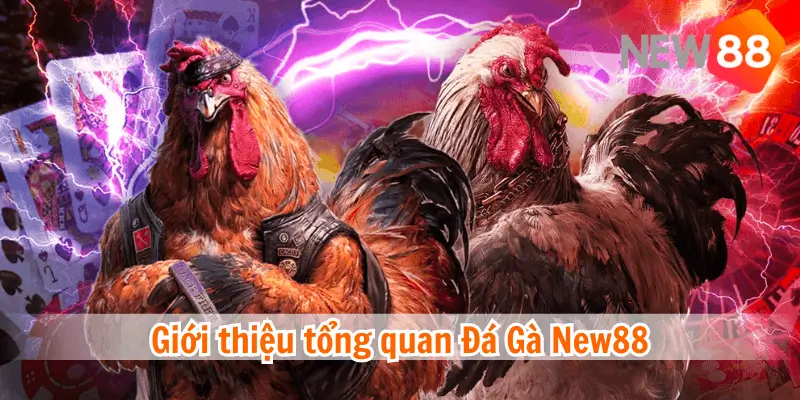 Đá gà trực tuyến New88 – Trải nghiệm thực tế và sống động