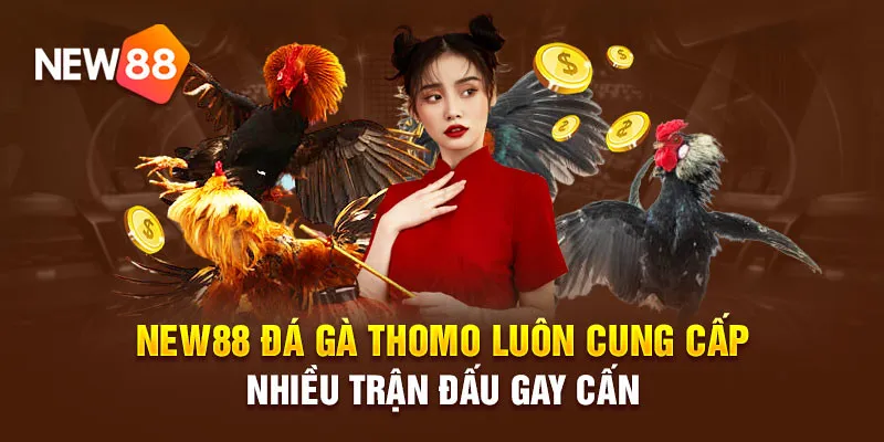 Chiến lược để thành công trong đá gà New88