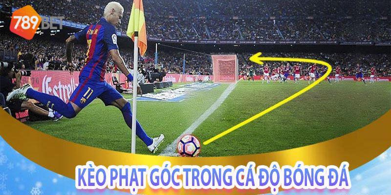 Cách đọc kèo Châu Âu tại 789bet