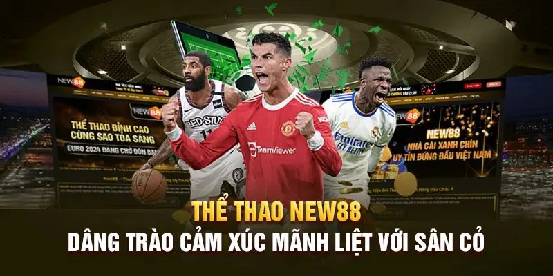 thể thao New88