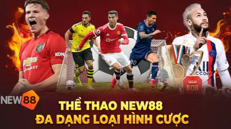 Thể thao New88 - 3