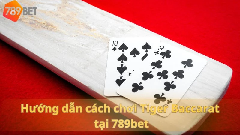 tiger baccarat - 4