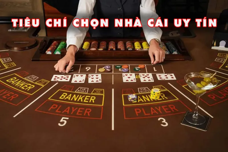 Dịch vụ chăm sóc khách hàng chuyên nghiệp