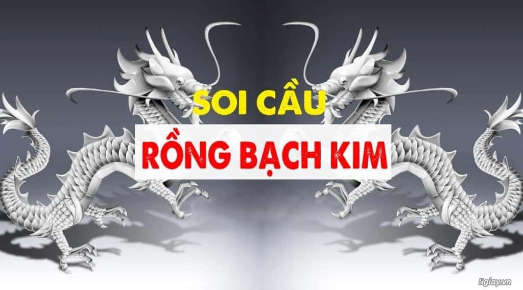 Hướng dẫn chi tiết cách soi cầu lô bạch thủ tại Rồng Bạch Kim