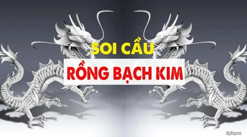 Hướng dẫn cách soi cầu bạc nhớ hiệu quả từ Rồng bạch kim