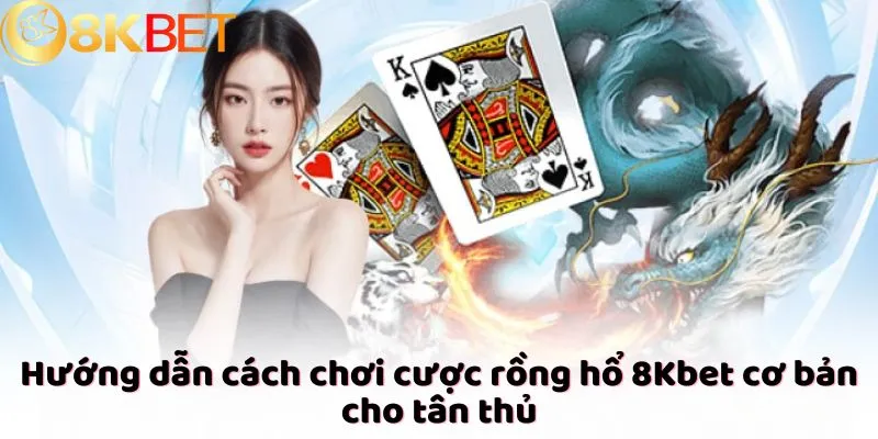 Hướng dẫn cách chơi cược rồng hổ 8Kbet cơ bản cho tân thủ