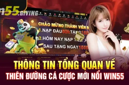 Tại sao nên đăng nhập Win55 ngay hôm nay?