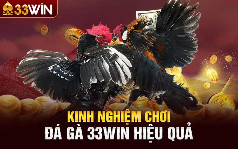 Hướng Dẫn Đặt Cược Đá Gà Trực Tuyến Tại 33Win