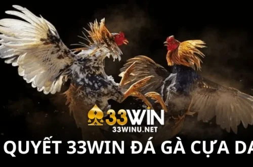 Những lợi ích độc quyền khi tham gia cá cược tại 33Win