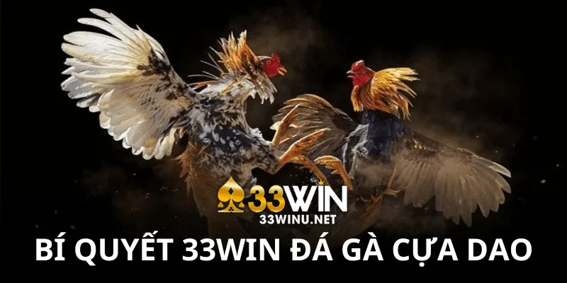 Những lợi ích độc quyền khi tham gia cá cược tại 33Win