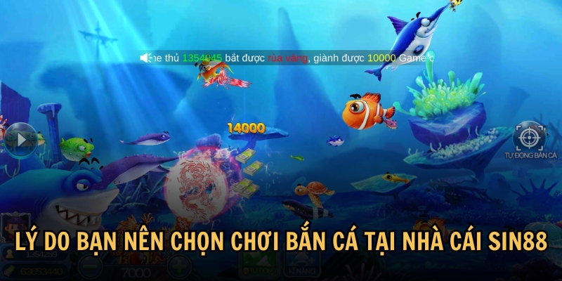 Lý do bạn nên chọn chơi bắn cá tại nhà cái Sin88