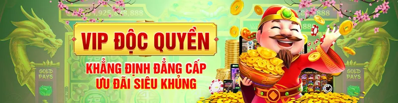 Chính sách VIP và quyền lợi độc quyền dành cho thành viên trung thành