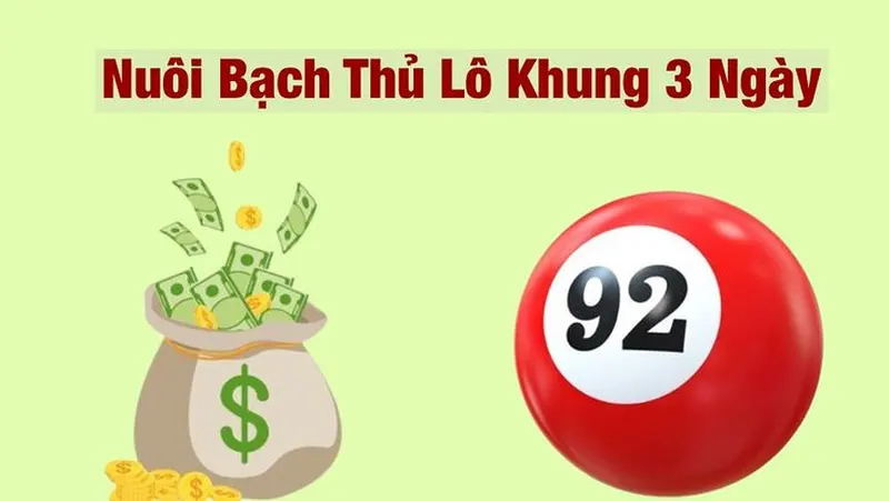 Các Lưu Ý Quan Trọng Khi Chơi Lô tại Nhà Cái Win55