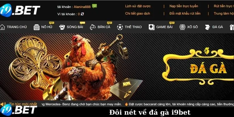 Đôi nét về đá gà i9bet