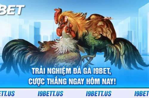 Trải nghiệm đá gà i9bet, cược thắng ngay hôm nay!