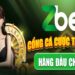 Tại Sao Nên Chọn Tải App Zbet Để Cá Cược?