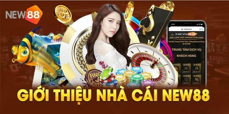 Những Quyền Lợi Độc Quyền Dành Cho Thành Viên VIP