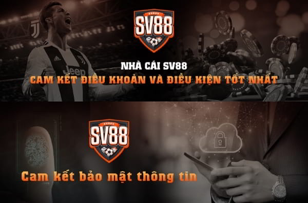 SV88 Là Ai? Tổng Quan Về Nhà Cái Uy Tín 