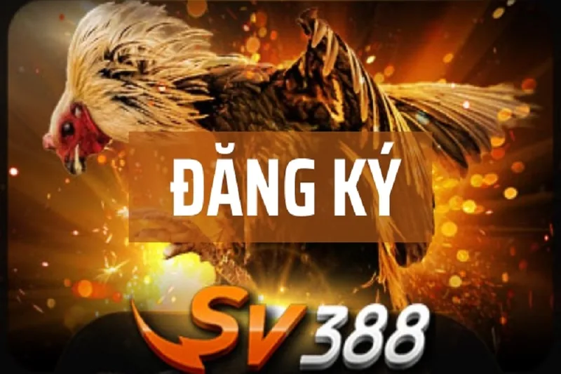 Hướng Dẫn Đăng Ký SV388