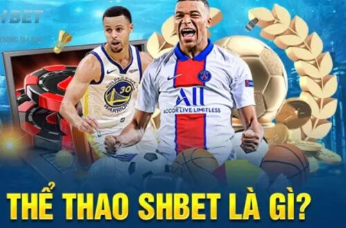 Sảnh cá cược thể thao SHBET