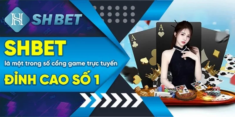 Cách Kiểm Tra Giấy Phép Hoạt Động Của SHBET  