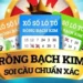 Rồng Bạch Kim – Trò chơi hấp dẫn đáng thử ngay