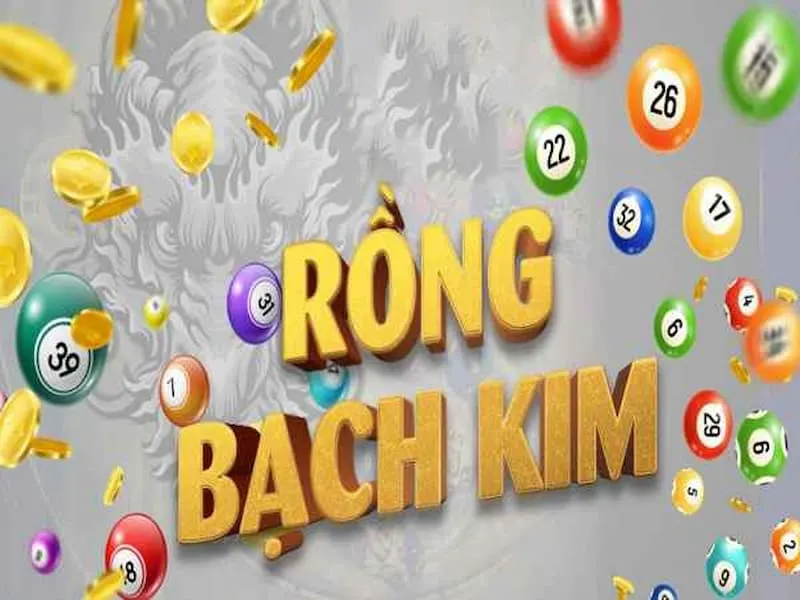 Bí quyết soi cầu Rồng Bạch Kim chuẩn xác