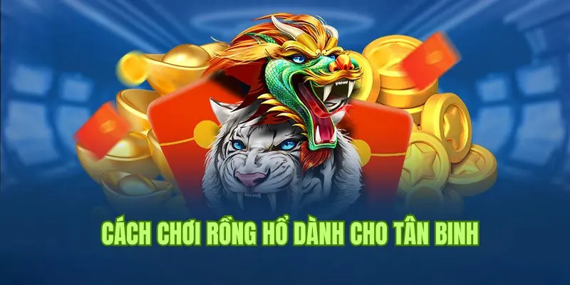 Thuật Ngữ Quan Trọng Khi Chơi Rồng Hổ