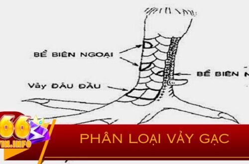 Các Loại Vảy Khác Và Cách So Sánh Với Vảy Gạc Thập