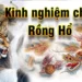 Kinh nghiệm chơi rồng hổ Sunwin