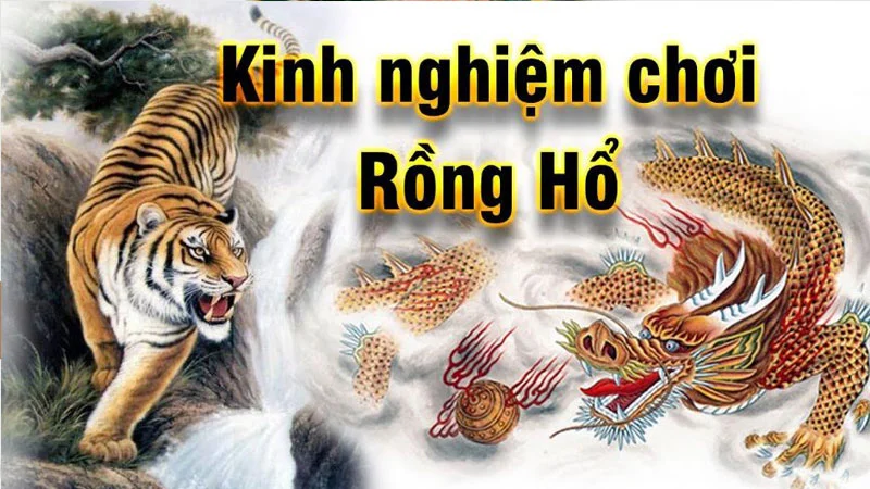 Kinh nghiệm chơi rồng hổ Sunwin