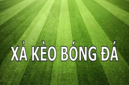 Cách Đọc Tỷ Lệ Kèo Để Biết Nên Xả Hay Giữ