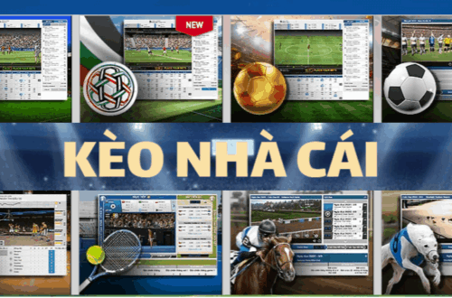  App Winclub tiện lợi qua Link vào Winclub chính thức