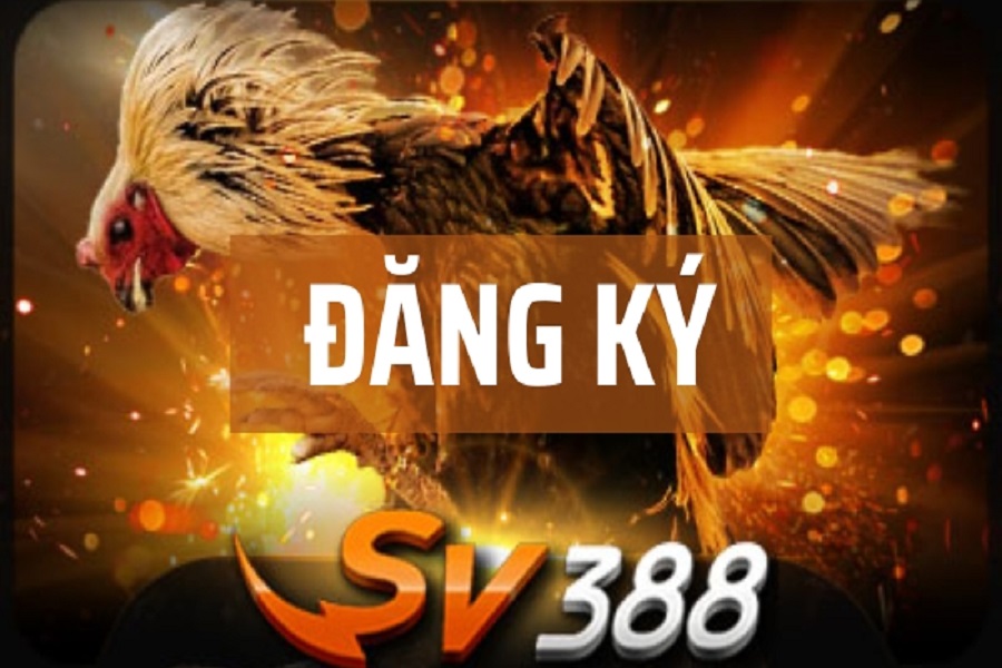 Chọn bàn đá gà phù hợp tại link vào SV388 cho người mới!