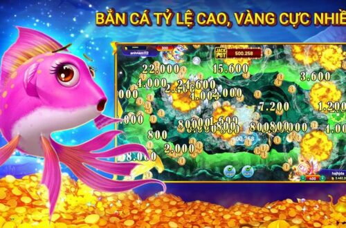  Mẹo chơi bắn cá hiệu quả được hướng dẫn tại link vào Hi88.