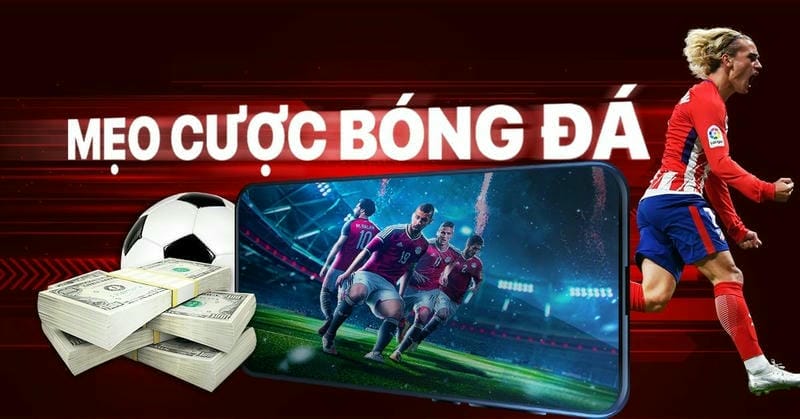 Hãy kiểm tra bảng kèo trên nhà cái Shbet để chọn mức phù hợp với dự đoán của bạn.