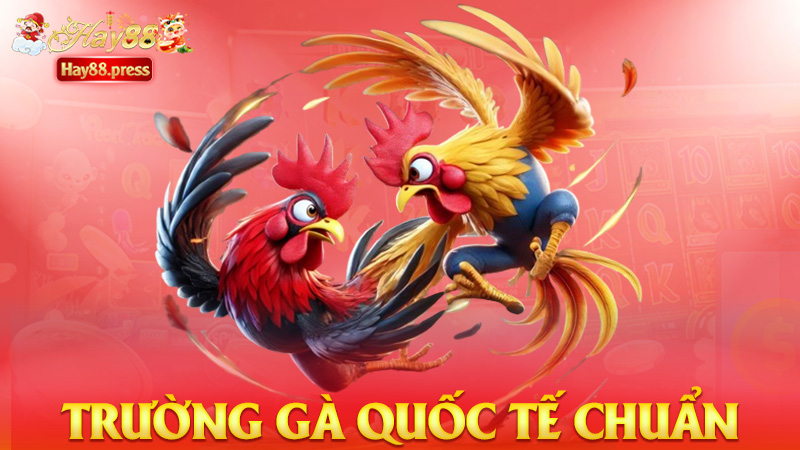 Trường gà quốc tế chuẩn