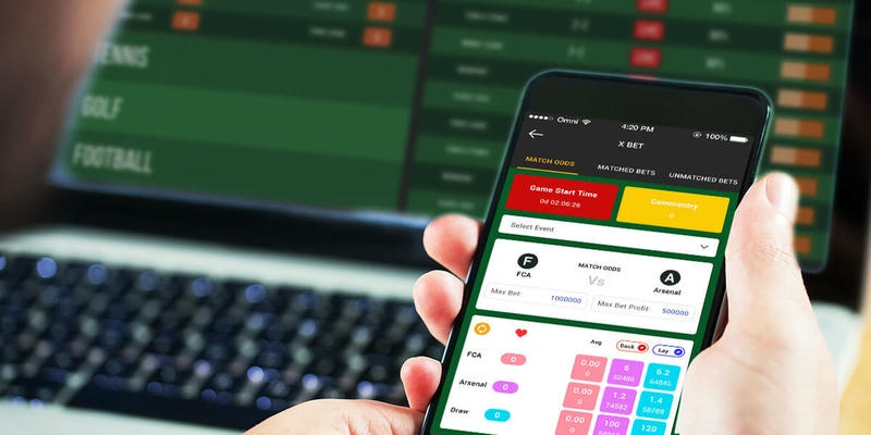 Dữ liệu phong độ đội bóng trên web cá cược bóng đá giúp soi kèo