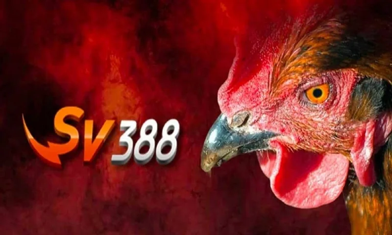Mẹo rút tiền mượt mà tại blog đá gà SV388, tránh lỗi dễ dàng