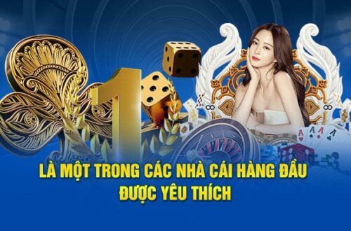 Tại Sao Nên Chọn Ko66?