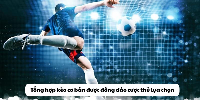 Loạt dạng kèo cơ bản nhất định phải tham gia