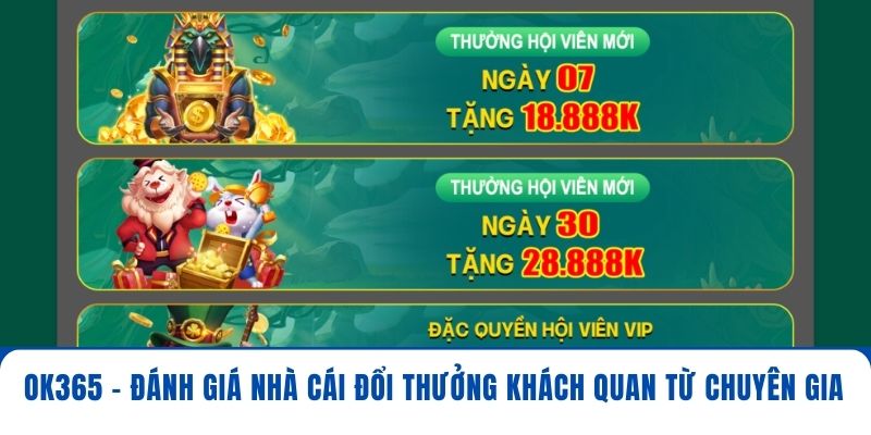 OK365 - Đánh Giá Nhà Cái Đổi Thưởng Khách Quan Từ Chuyên Gia