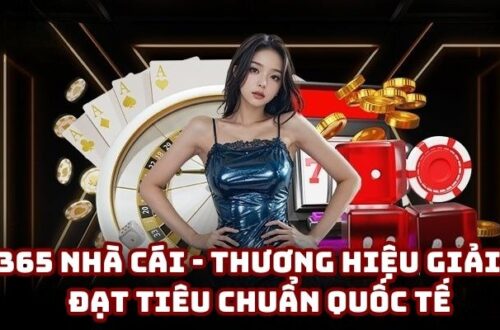 OK365 Nhà Cái - Thương Hiệu Giải Trí Đạt Tiêu Chuẩn Quốc Tế