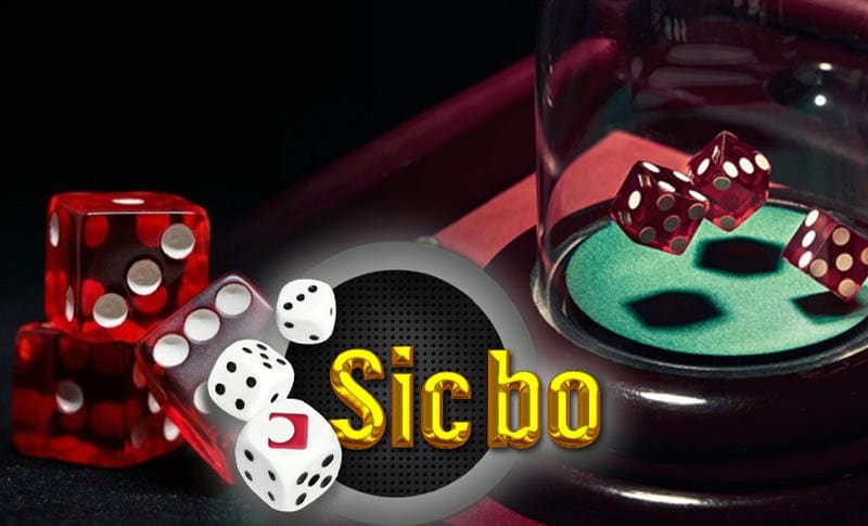 Các loại cược trong Sicbo tại Sin88