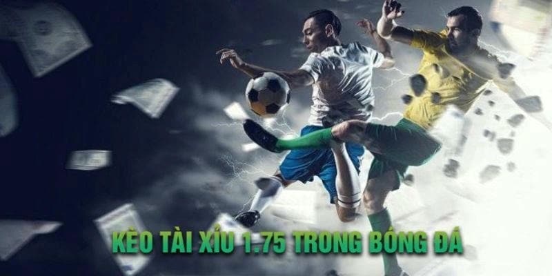 Cách đọc trận để bắt đúng kèo 1.75 Bet168vn