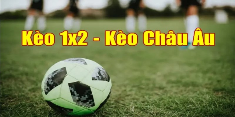 Các Mẹo Cá Cược Tỷ lệ cược
