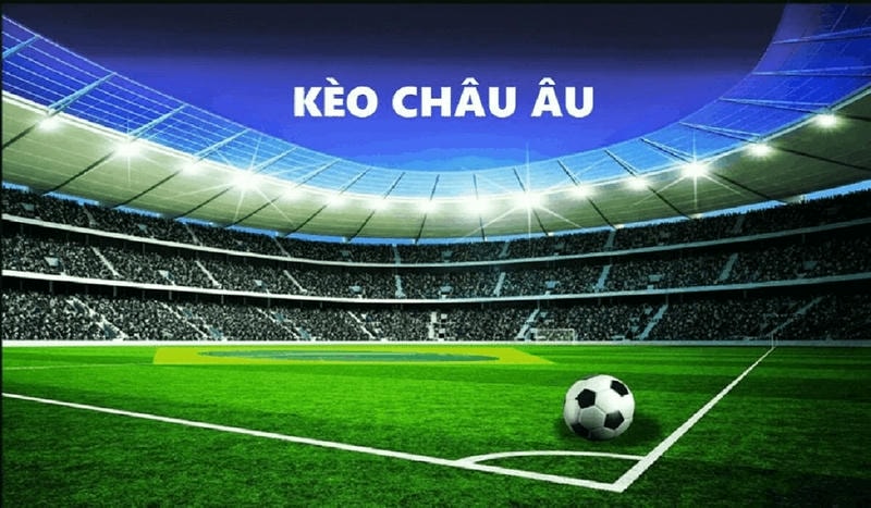 Giao diện cá cược thể thao Five88 đơn giản, dễ hiểu.