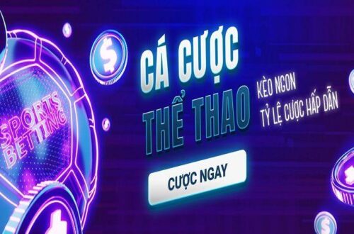  Chính sách bảo mật ZWINCLUB mã hóa dữ liệu người chơi an toàn