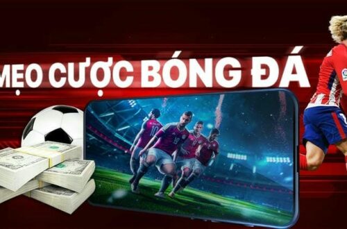  Sân bãi và thời tiết ảnh hưởng lớn đến nhận định kèo bóng đá 