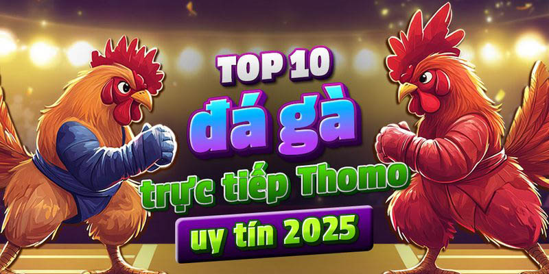 Không khí sôi động của đá gà online tại HB88